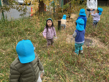 おちば、みーつけた!