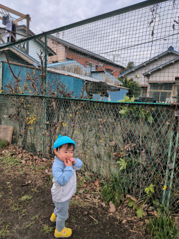 今日も元気いっぱいです!