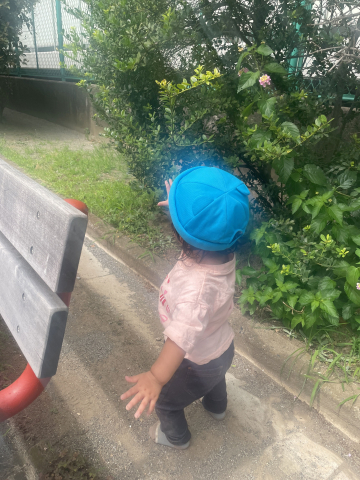 お散歩へ!!